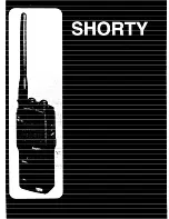 Team SHORTY Manual preview