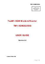 TeamOne TeaM1-5GM User Manual preview