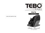 TEBO AURA Owner'S Manual preview