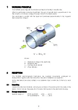 Preview for 6 page of Tecfluid FLOMID Series Instruction Manual