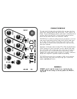 Tech 21 TRI-O.D. Manual preview