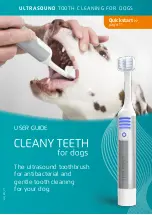 Techmira ULTRASOUND Cleany Teeth User Manual preview