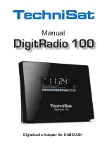 TechniSat DigitRadio 100 Manual preview