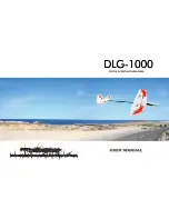Techone DLG-1000 User Manual preview
