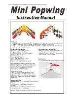 Preview for 1 page of Techone Mini Popwing Instruction Manual