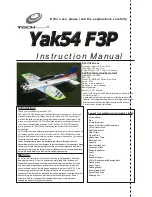 Techone Yak54-F3P Instruction Manual предпросмотр