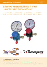 Tecnosystemi Toolsplit 11131031 User Manual preview