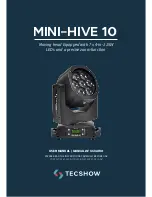 TECshow MINI-HIVE 10 User Manual предпросмотр