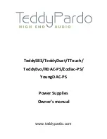 Предварительный просмотр 2 страницы TeddyPardo TeddySB3 Owner'S Manual