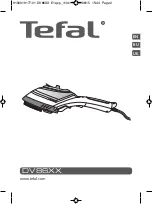 Предварительный просмотр 2 страницы TEFAL DV86XX Important Safety Instructions Manual