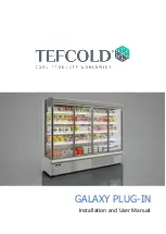 Preview for 1 page of Tefcold GALAXY PLUG-IN Installation And User Manual