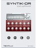 Tek'it Audio Syntik-DR User Manual preview