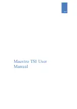 Teknotel Maestro TSI User Manual предпросмотр