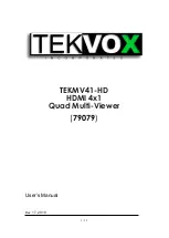 Tekvox TEKMV41-HD User Manual preview