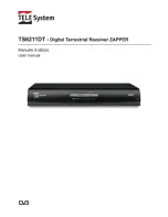 Tele System TS6100DT User Manual preview