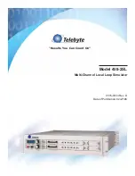 Telebyte 458-2SL Manual preview