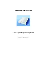 Telecom FM GSMRoute Bri Unmanaged Programming Manual preview