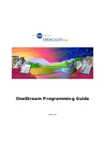 Telecom FM OneStream BRI Programming Manual preview