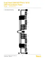 Предварительный просмотр 14 страницы Telect Dual-Feed 350A 10/10-TPA User Manual