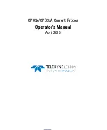 Предварительный просмотр 3 страницы Teledyne Lecroy CP031 Operator'S Manual