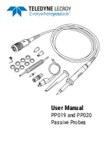 Teledyne Lecroy PP019 User Manual предпросмотр