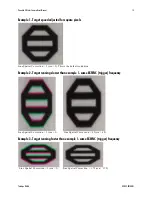 Preview for 13 page of Teledyne DALSA P4-CC-04K07T-00-R User Manual