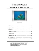 Telefunken TK2129ST Service Manual предпросмотр