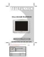 Telefunken TTV-25D Insrtructions For Use And Care preview