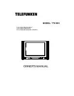 Preview for 1 page of Telefunken TTV-299 Owner'S Manual