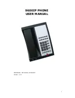 Предварительный просмотр 1 страницы Telematrix SIP 9600IP User Manual