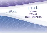 Telesis PX24M Manual preview