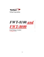 Telian FWT-8000 User Manual preview