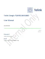 TELink Dongle TLSR9518ADG80D User Manual предпросмотр