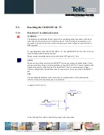 Preview for 22 page of Telit Wireless Solutions GL865-DUAL V3 Hardware User'S Manual