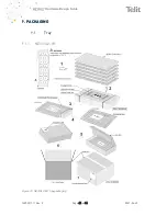 Предварительный просмотр 46 страницы Telit Wireless Solutions NE310L2 Hw Design Manual