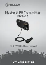 Tellur FMT-B6 User Manual предпросмотр