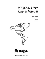 Telson MT-8000 WAP User Manual preview