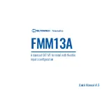 Teltonika FMM13A Quick Manual preview