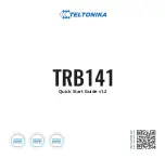 Teltonika TRB141 Quick Start Manual preview