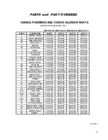 Предварительный просмотр 38 страницы Tempest POWER BLOWER Operation Manual