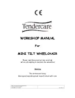 Tendercare MINI TILT Workshop Manual preview