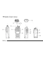 Предварительный просмотр 14 страницы Tera TR-7200 VHF User Manual