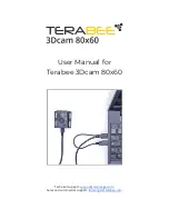 Preview for 1 page of TeraBee 3Dcam 80x60 User Manual