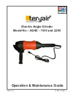 Preview for 1 page of Teryair AG4E - 110V Operation & Maintenance Manual