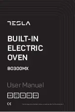 Предварительный просмотр 1 страницы Tesla BO300MX User Manual