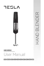 Tesla HB300BX User Manual preview