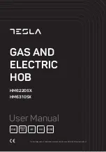 Preview for 1 page of Tesla HM6220SX User Manual