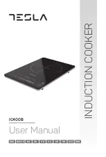 Tesla IC400B User Manual предпросмотр