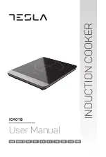 Tesla IC401B User Manual preview