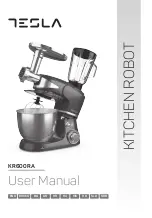 Tesla KR600RA User Manual preview